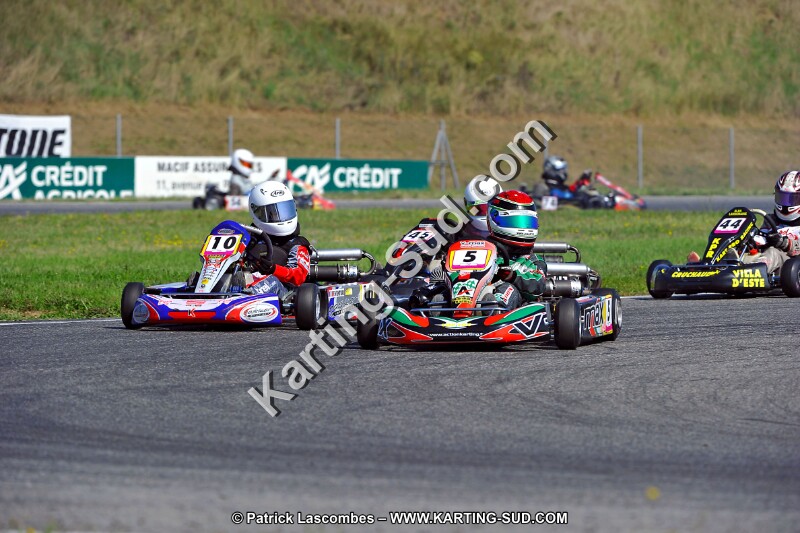 DSC_ (1231).jpg